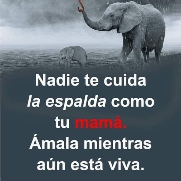 yanitzadguez80